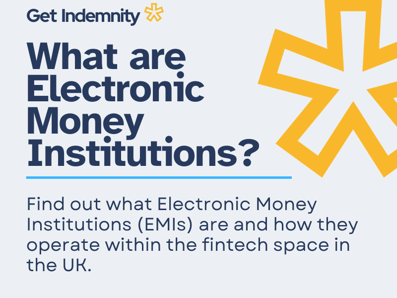 What are Electronic Money Institutions?